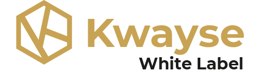 Kwayse white label digital marketing agency Logo 512px
